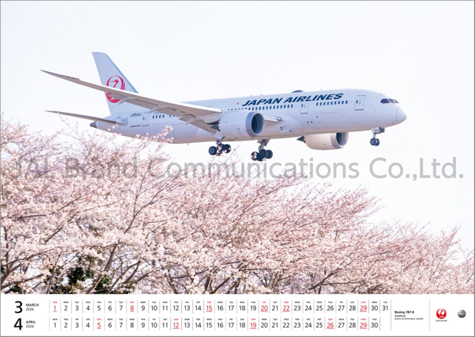 Amazon | JAL「FLEET」（大型判） 2026年 カレンダー 壁掛け(ケース